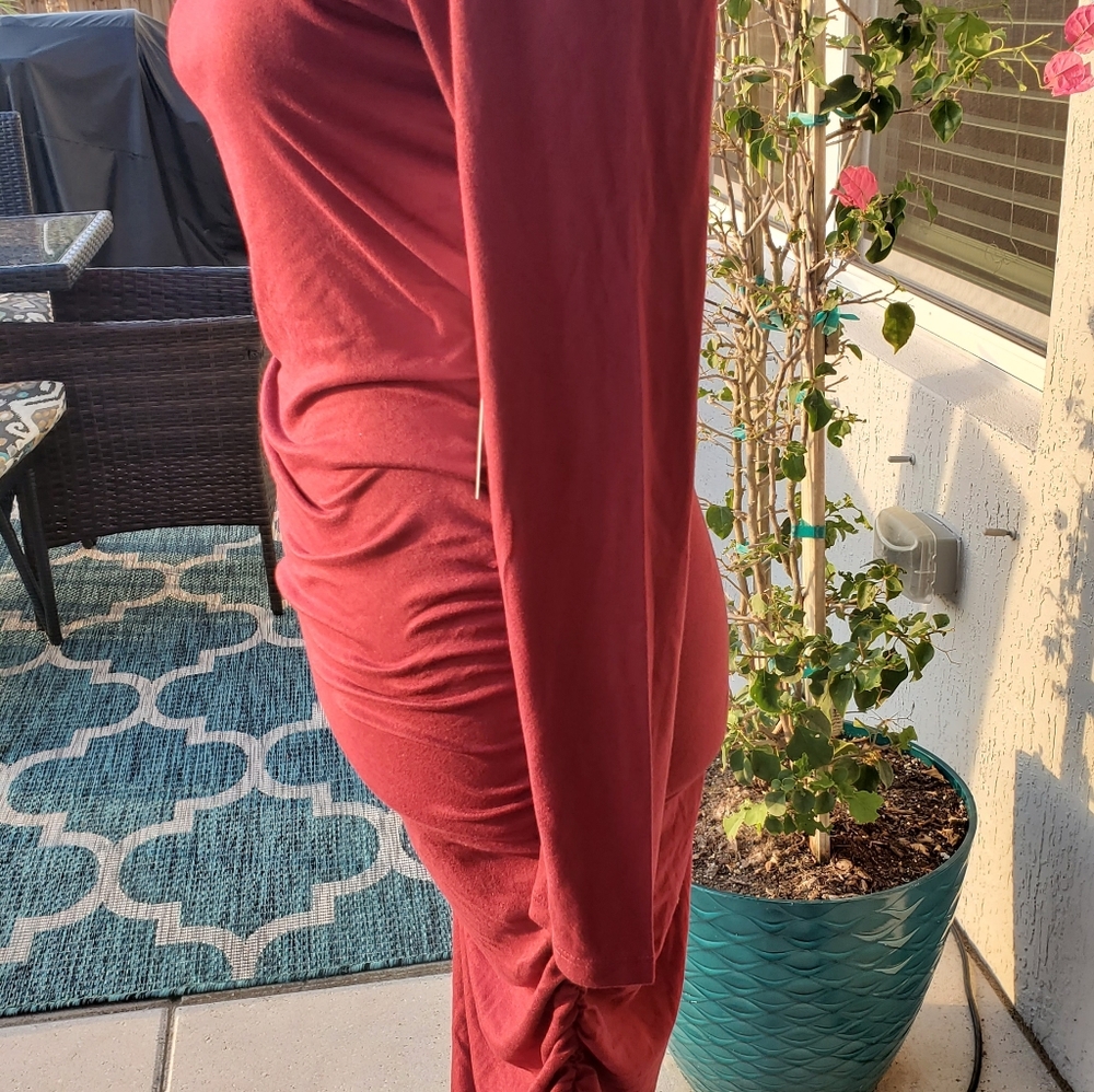 Almost Famous Turtle Neck Rouched Dress - Picture 8 of 11